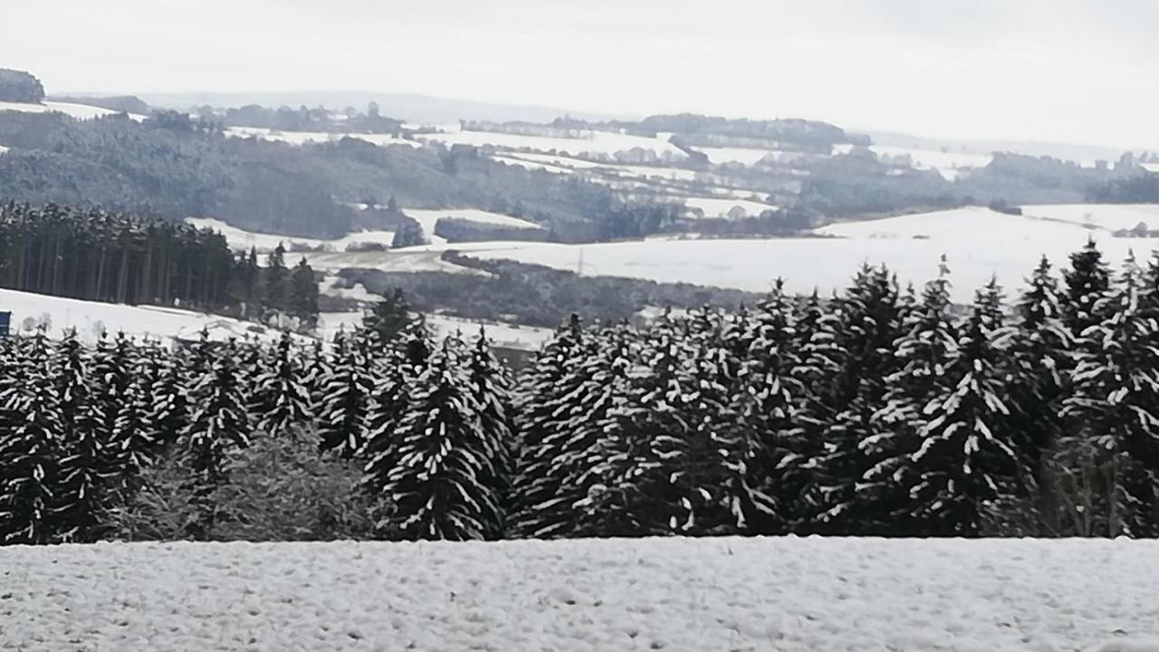 Eifel-Ferienhaus Marga Prüm Екстериор снимка
