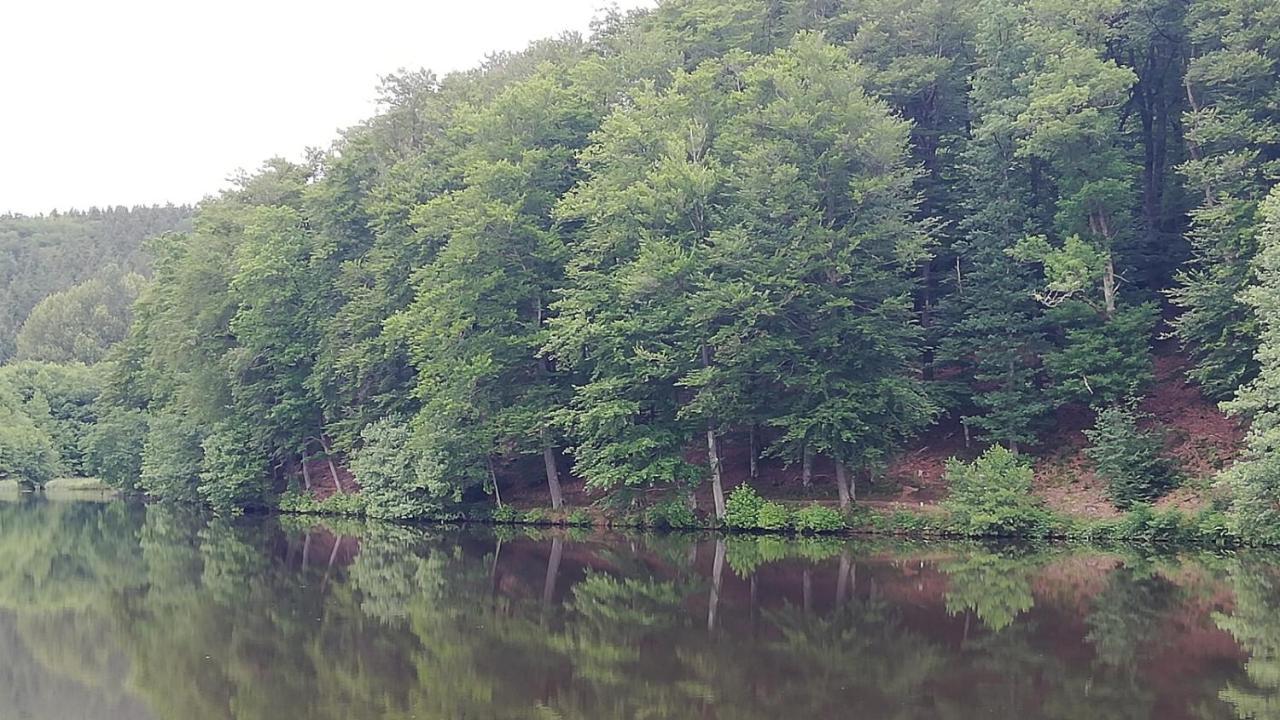 Eifel-Ferienhaus Marga Prüm Екстериор снимка