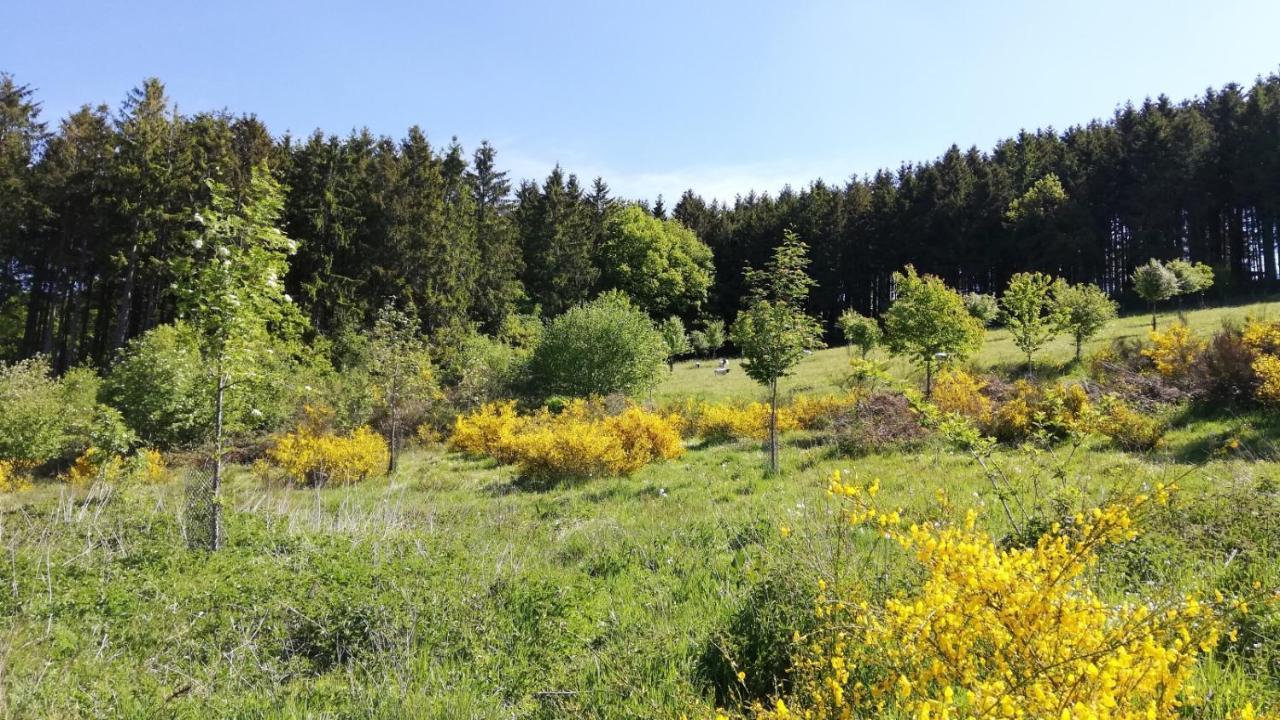 Eifel-Ferienhaus Marga Prüm Екстериор снимка
